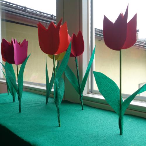 Tulpen