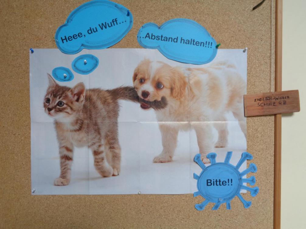 Hund und Katz